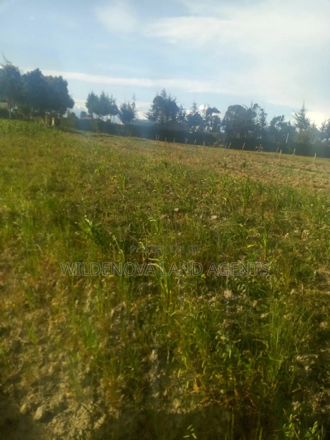 Affordable 1-Acre Land for Sale in South Kinangop in Magumu
