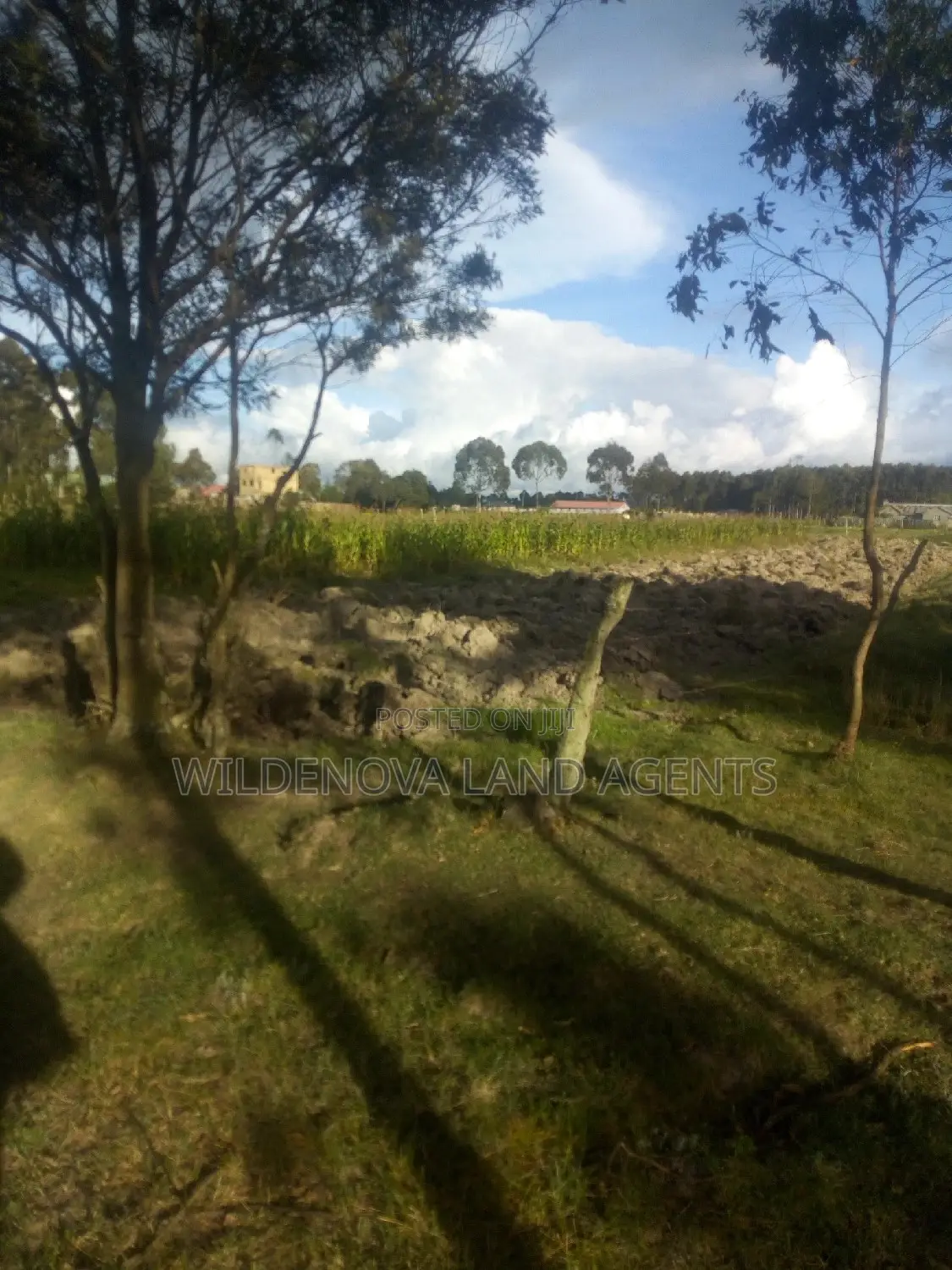 Affordable 1-Acre Land for Sale in South Kinangop in Magumu