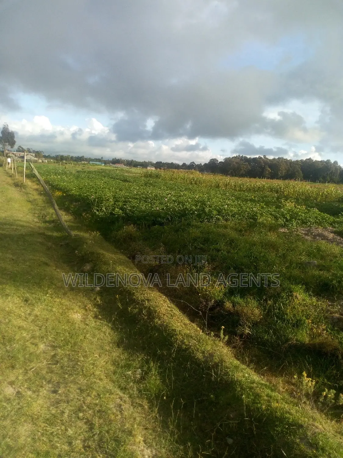 Affordable 1-Acre Land for Sale in South Kinangop in Magumu