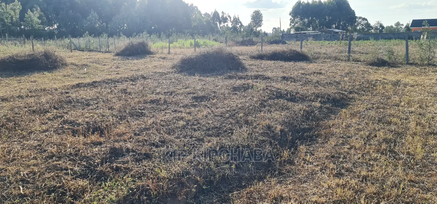 1⁄4 Acre Plot in Gated Community Available in Illula Eldoret in Illula