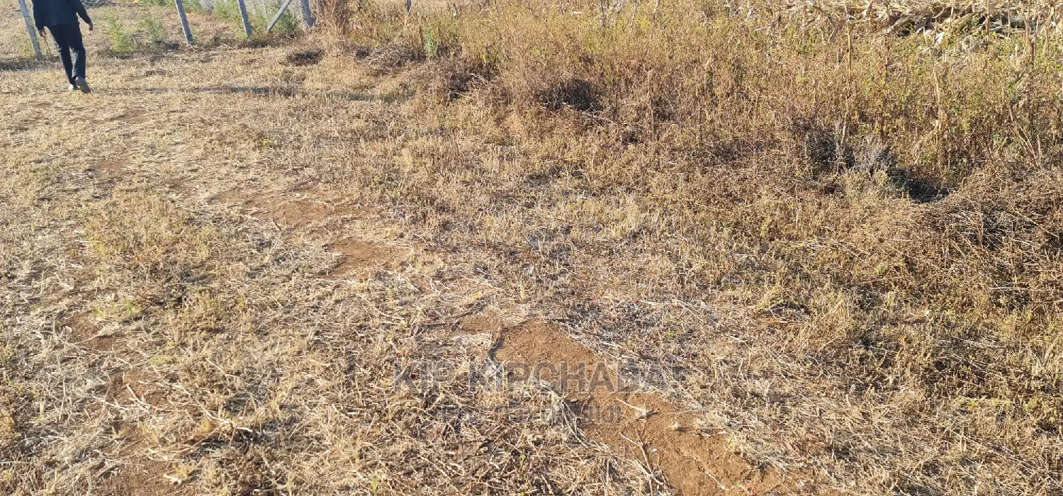 1⁄4 Acre Plot in Gated Community Available in Illula Eldoret in Illula