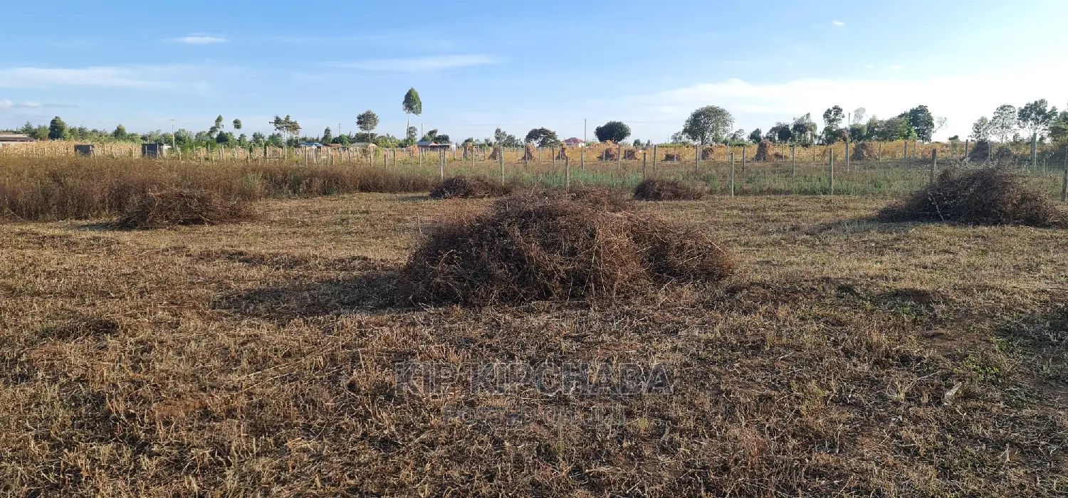 1⁄4 Acre Plot in Gated Community Available in Illula Eldoret in Illula