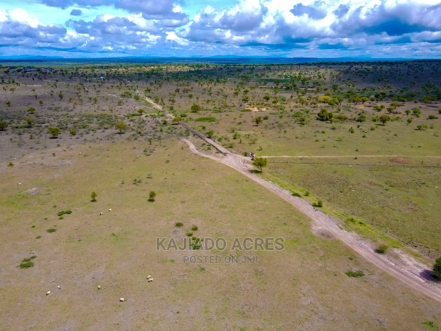 28acres Sajiloni Farm in Inkinye Center vicinity, located on Mashuru/Imaroro Road in Imaroro