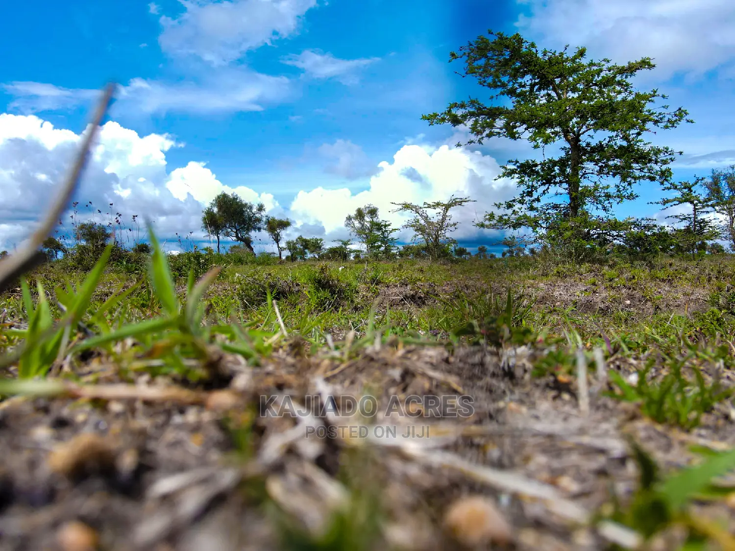 28acres Sajiloni Farm in Inkinye Center vicinity, located on Mashuru/Imaroro Road in Imaroro