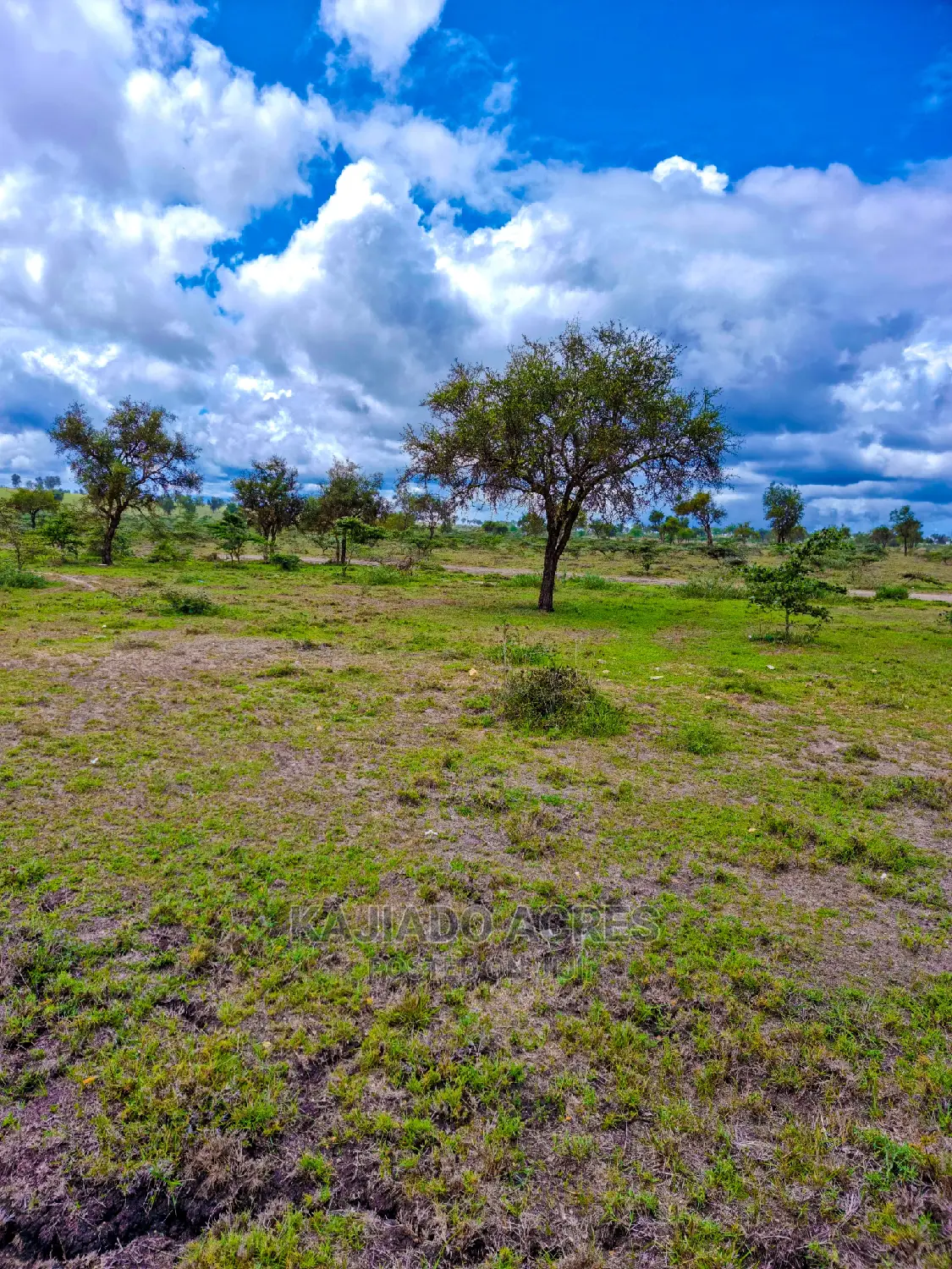 28acres Sajiloni Farm in Inkinye Center vicinity, located on Mashuru/Imaroro Road in Imaroro
