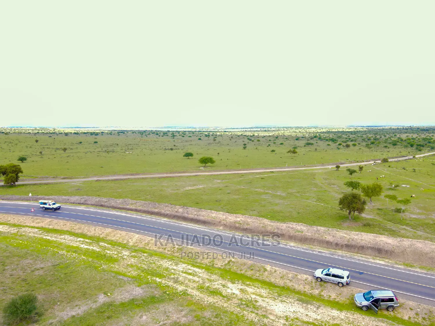 Dalalekutuk 5 Acres Touching Tarmac: Prime Investment Opportunity at 3 Million in DalaleKutuk