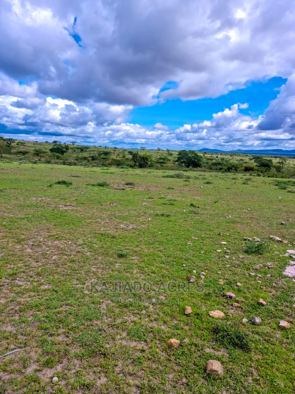 Dalalekutuk 5 Acres Touching Tarmac: Prime Investment Opportunity at 3 Million in DalaleKutuk