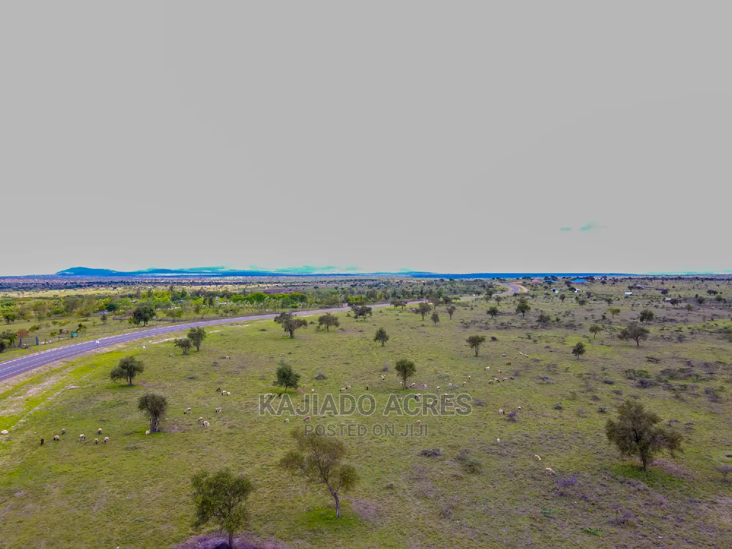 Dalalekutuk 5 Acres Touching Tarmac: Prime Investment Opportunity at 3 Million in DalaleKutuk