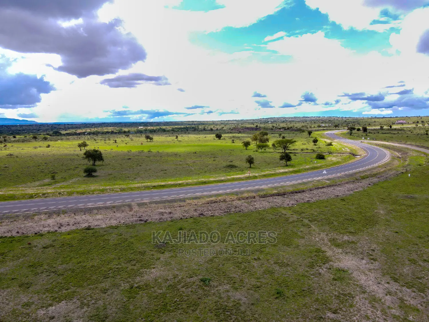 Dalalekutuk 5 Acres Touching Tarmac: Prime Investment Opportunity at 3 Million in DalaleKutuk