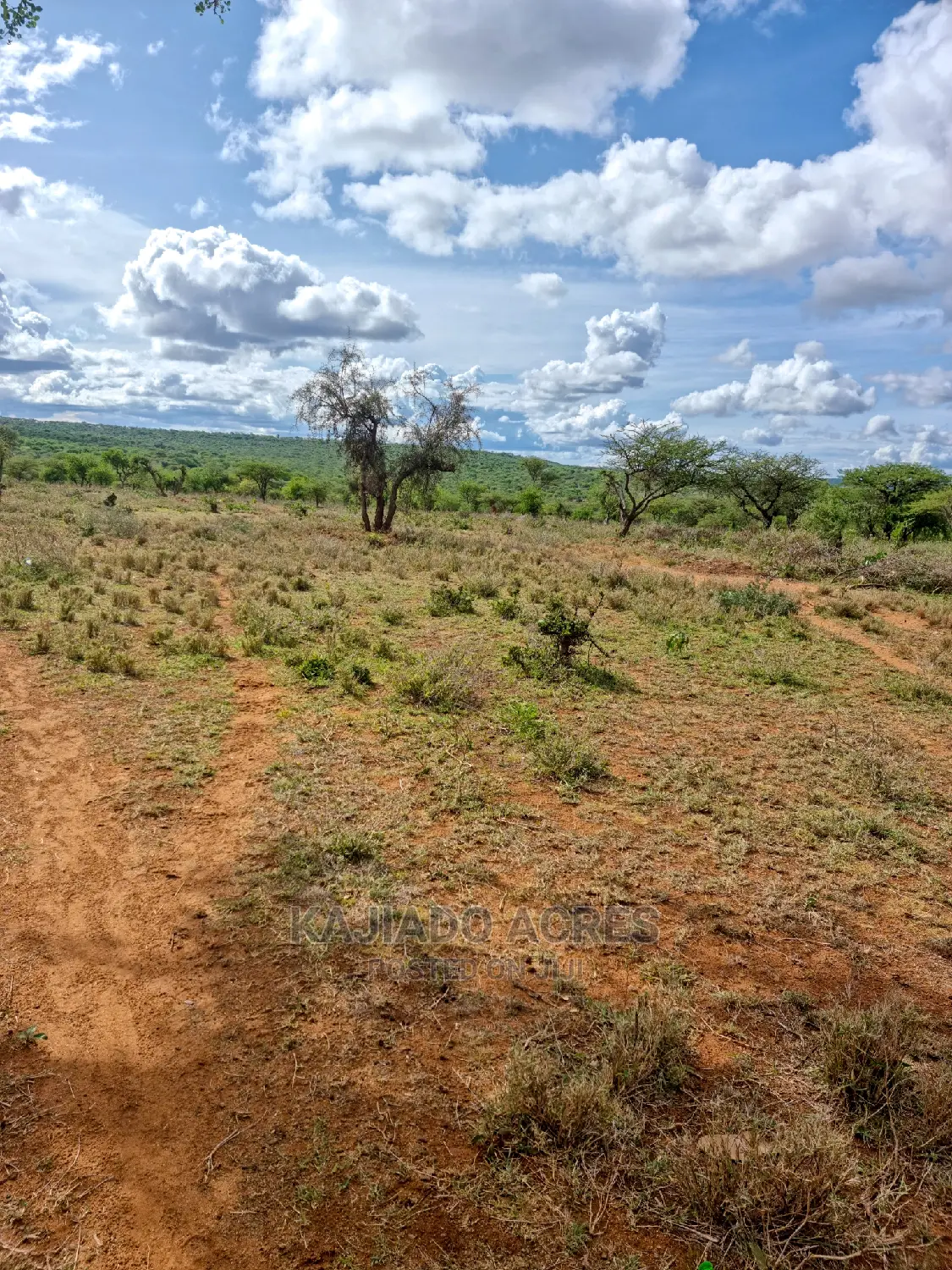 5-Acre Prime Property in Kajiado: Just 200m From Tarmac - 3.5m in Kajiado CBD