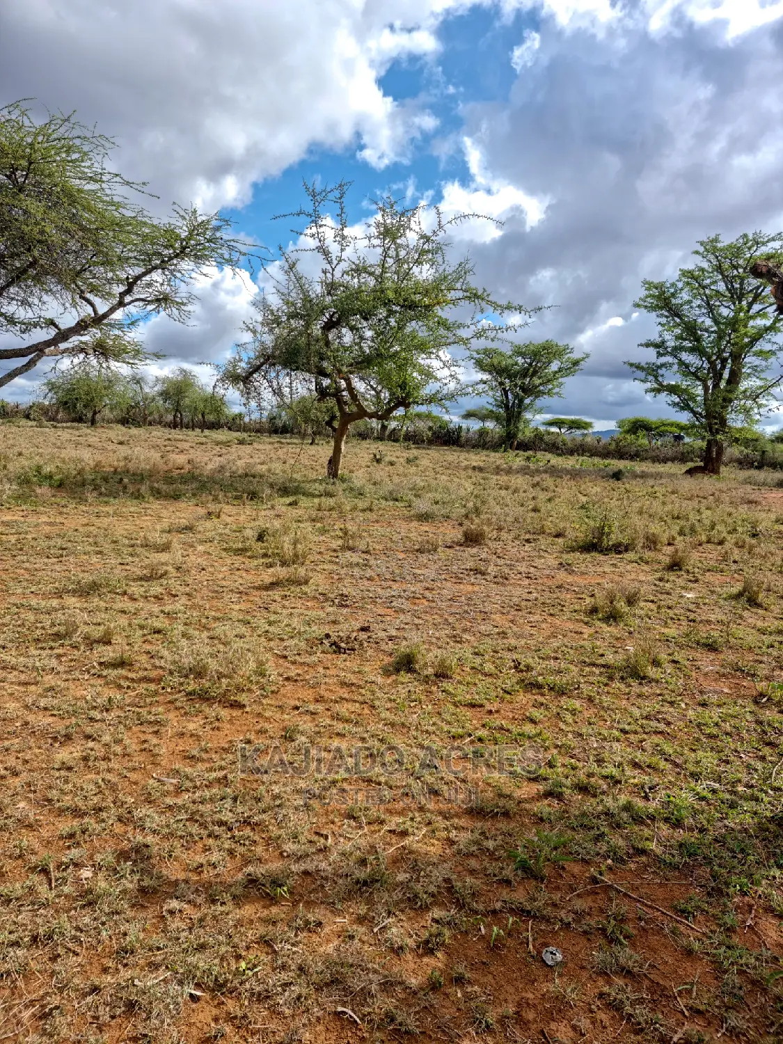 5-Acre Prime Property in Kajiado: Just 200m From Tarmac - 3.5m in Kajiado CBD
