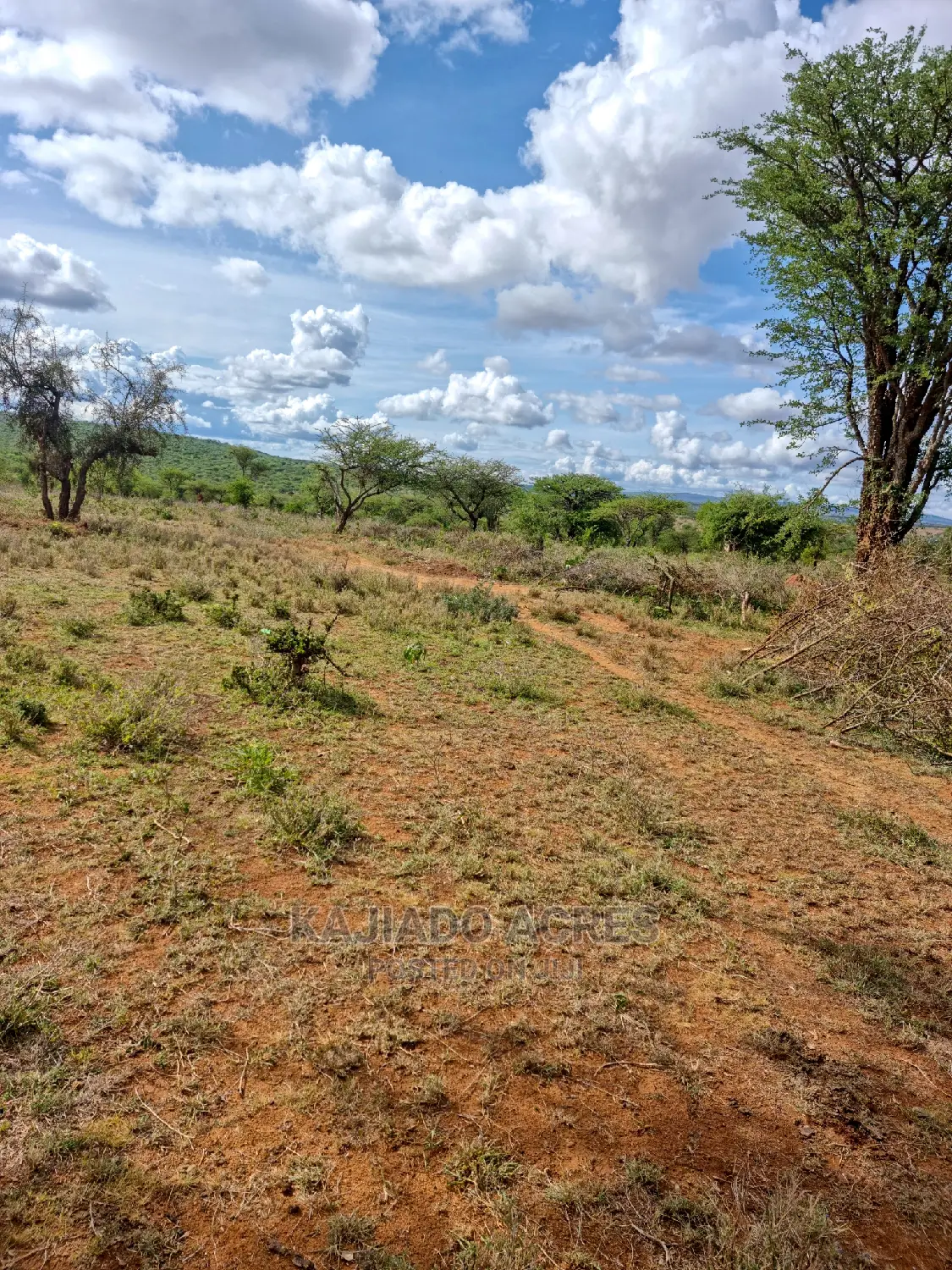 5-Acre Prime Property in Kajiado: Just 200m From Tarmac - 3.5m in Kajiado CBD