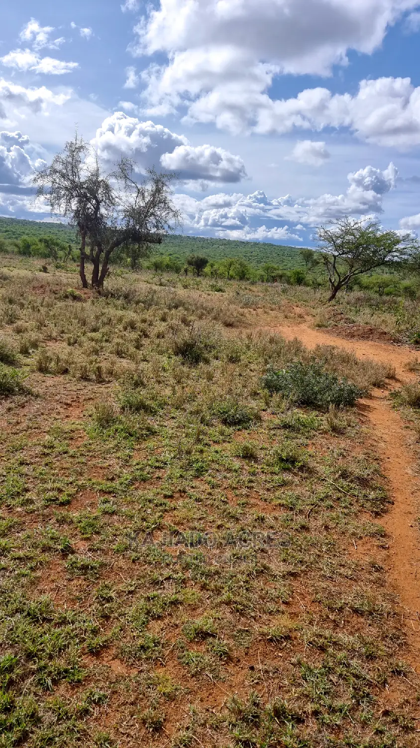 5-Acre Prime Property in Kajiado: Just 200m From Tarmac - 3.5m in Kajiado CBD