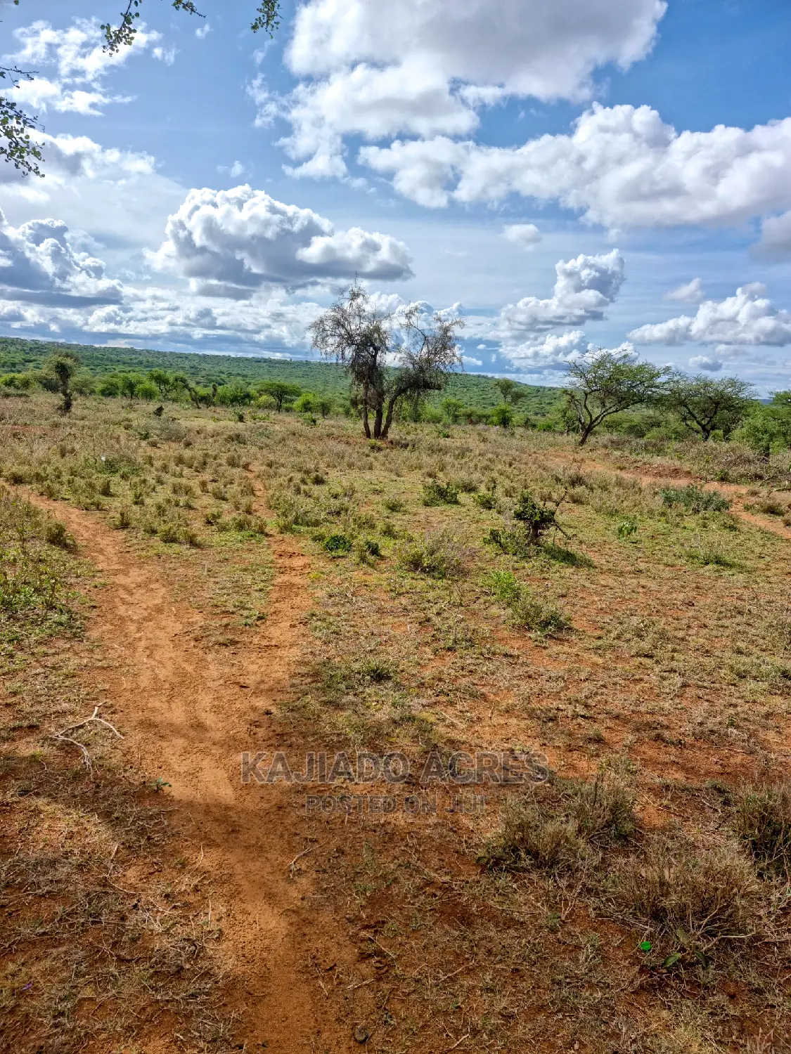 5-Acre Prime Property in Kajiado: Just 200m From Tarmac - 3.5m in Kajiado CBD