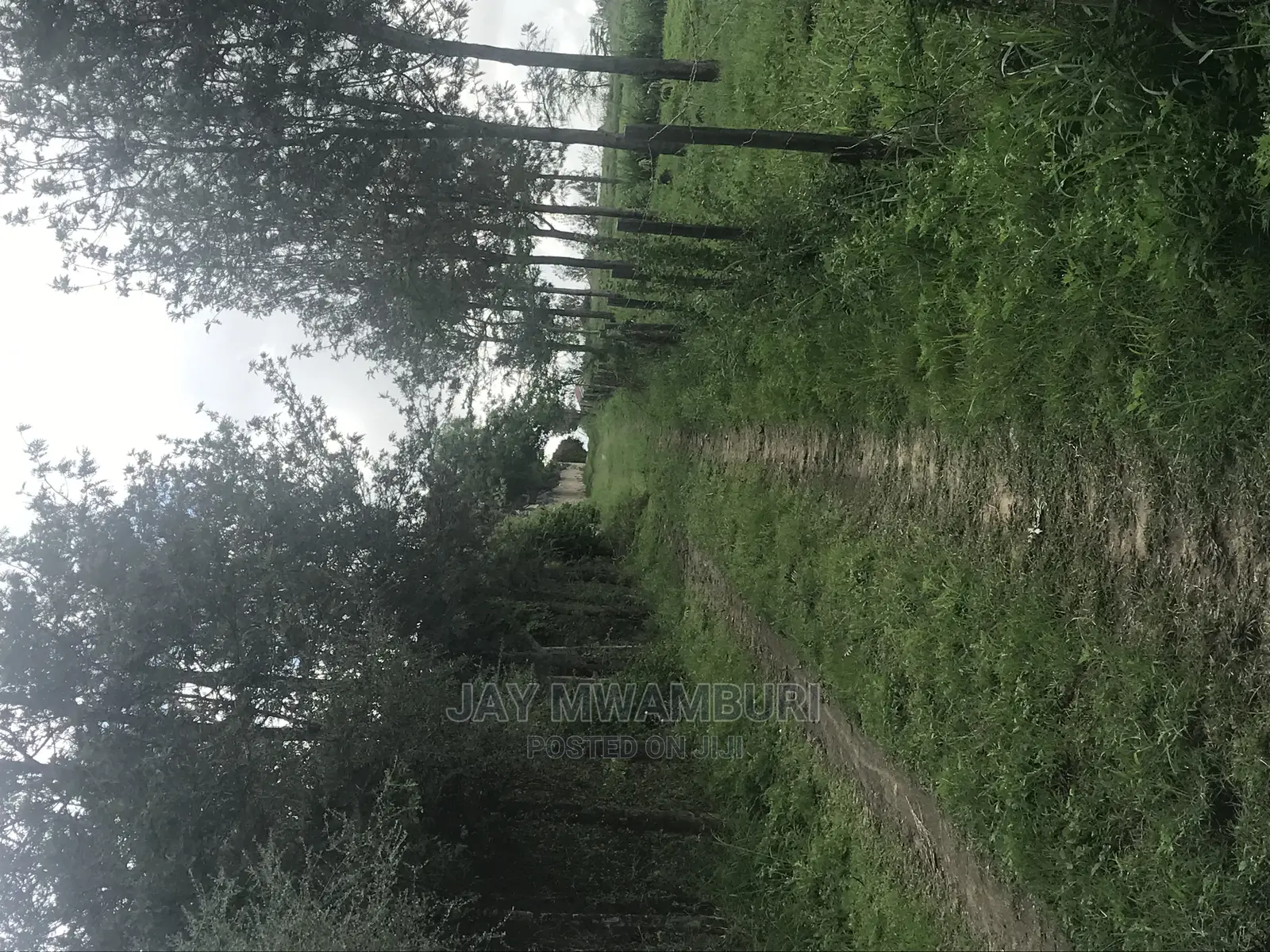5 Acres Touching Road Kenani Arthi River in Lukenya