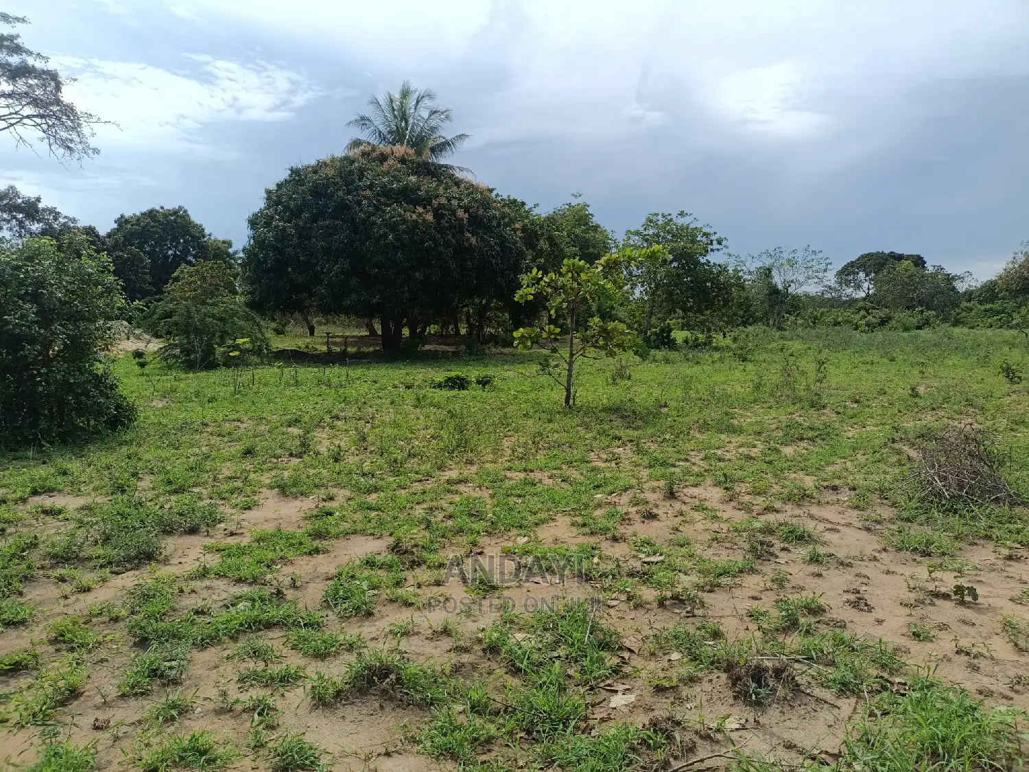 Dongo Kundu Land for Sale - Prime Location in Shika Adabu
