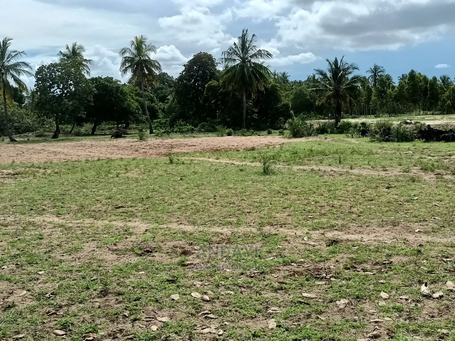 Dongo Kundu Land for Sale - Prime Location in Shika Adabu