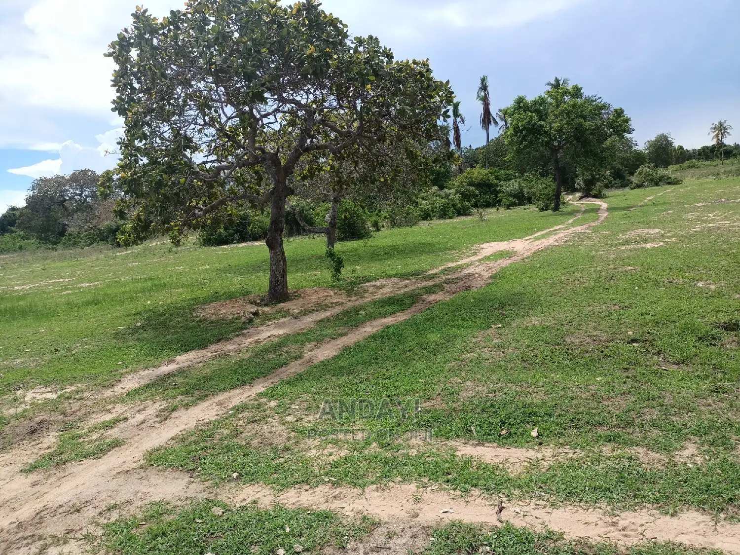 Dongo Kundu Land for Sale - Prime Location in Shika Adabu