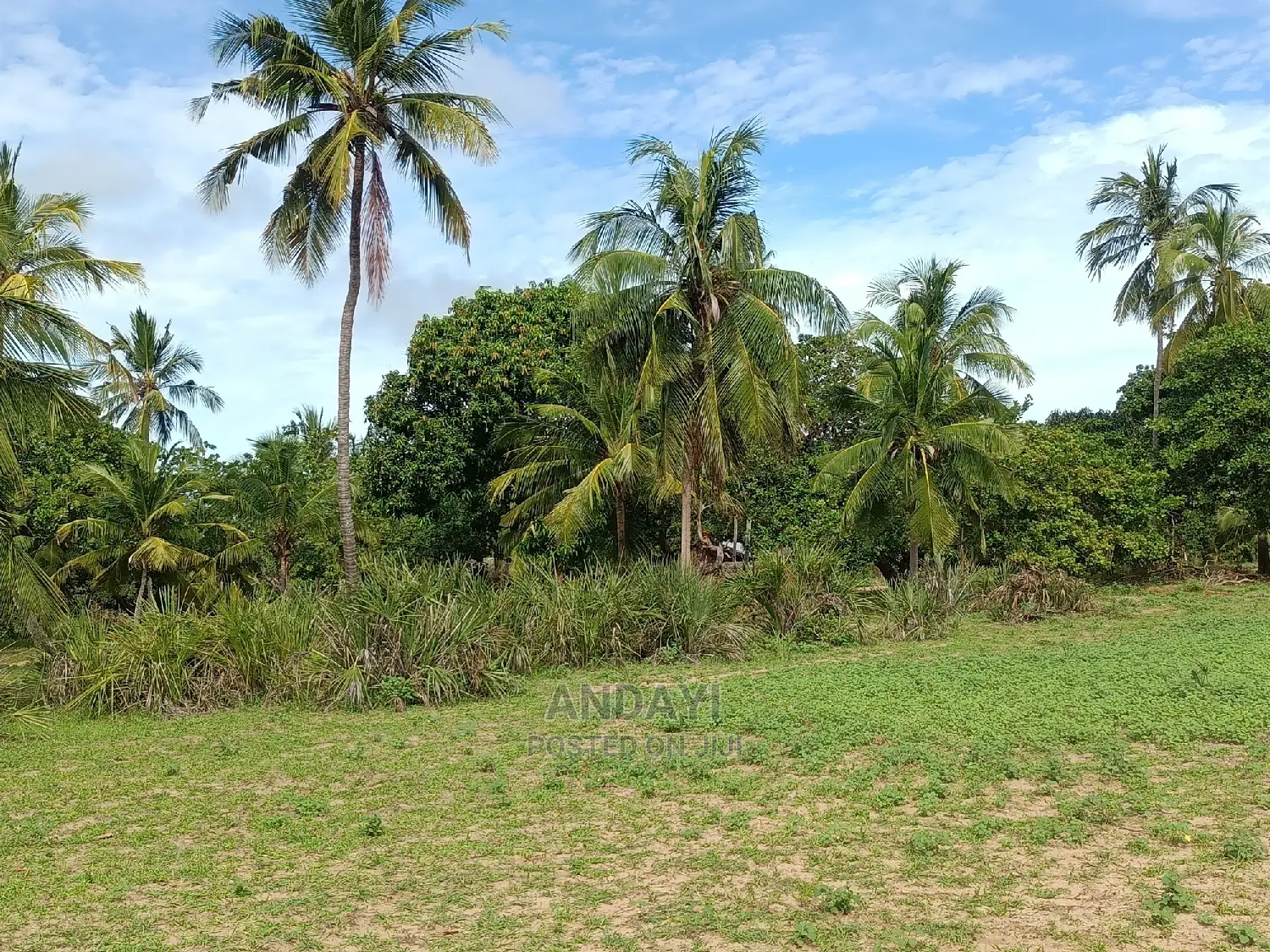 Dongo Kundu Land for Sale - Prime Location in Shika Adabu