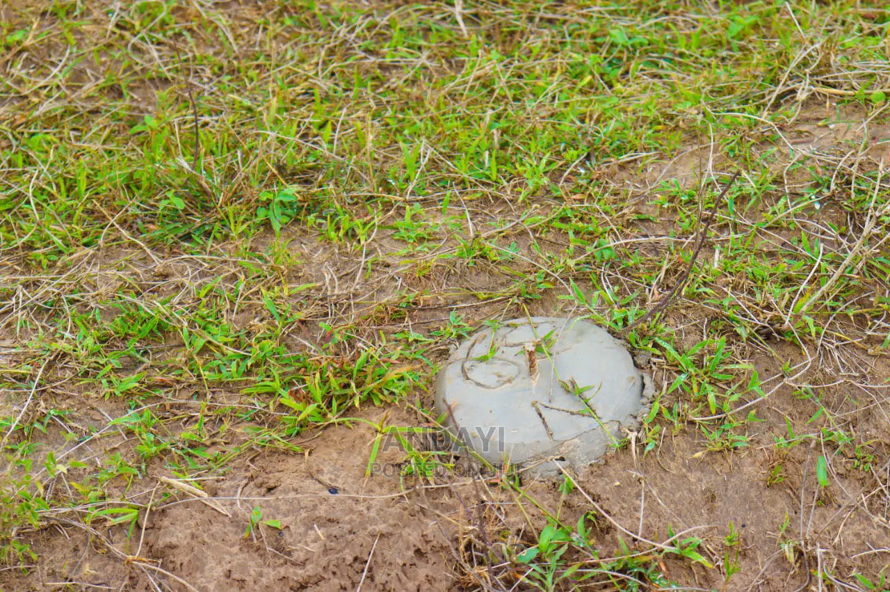 Invest in Dongo Kundu Bypass: Exclusive Land Plots Available in Shika Adabu