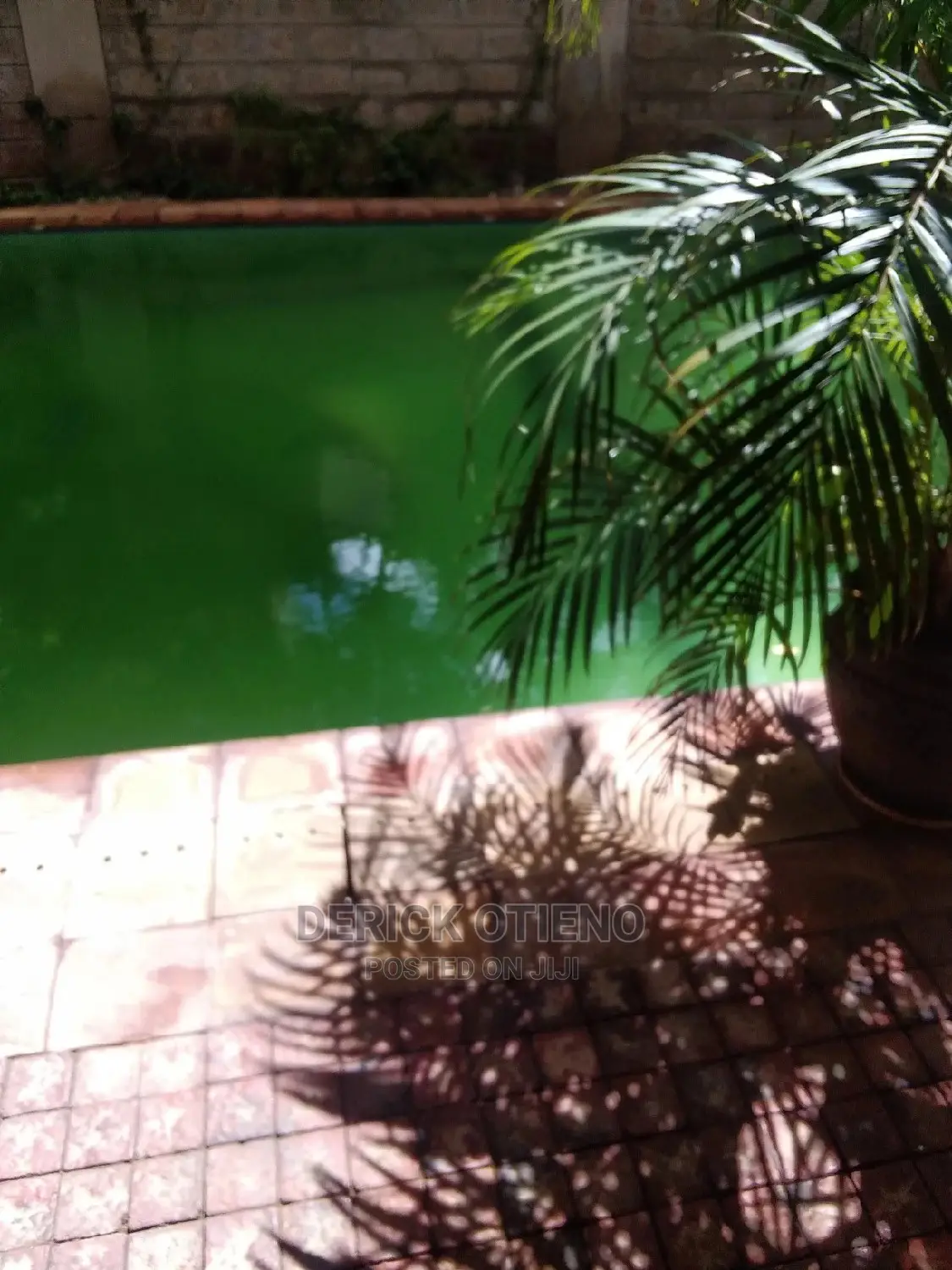 Luxurious 1-Bedroom Bedsitter in Kilimani - Ideal for Rent in Kilimani