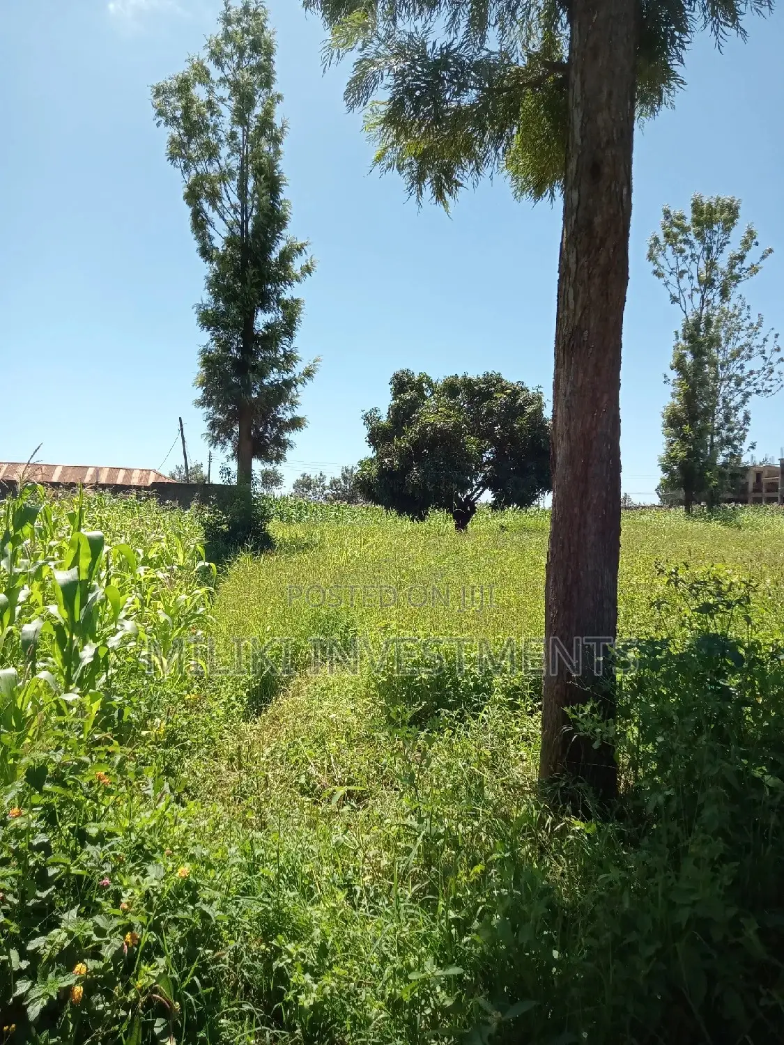 Half acre land in Kenol Town, ideal for your next project. Contact us for further information. in Kimorori/Wempa