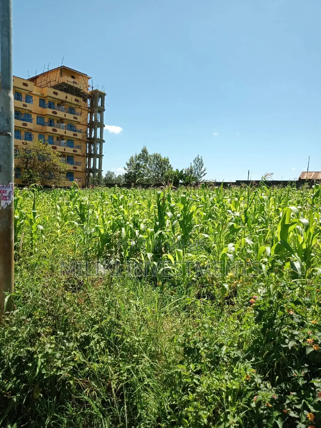 Half acre land in Kenol Town, ideal for your next project. Contact us for further information. in Kimorori/Wempa