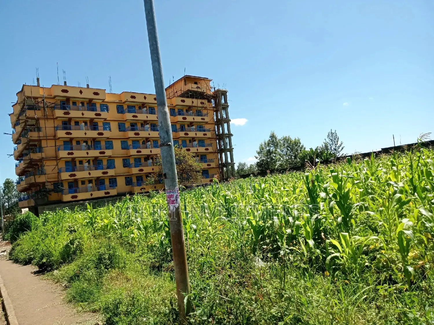 Half acre land in Kenol Town, ideal for your next project. Contact us for further information. in Kimorori/Wempa