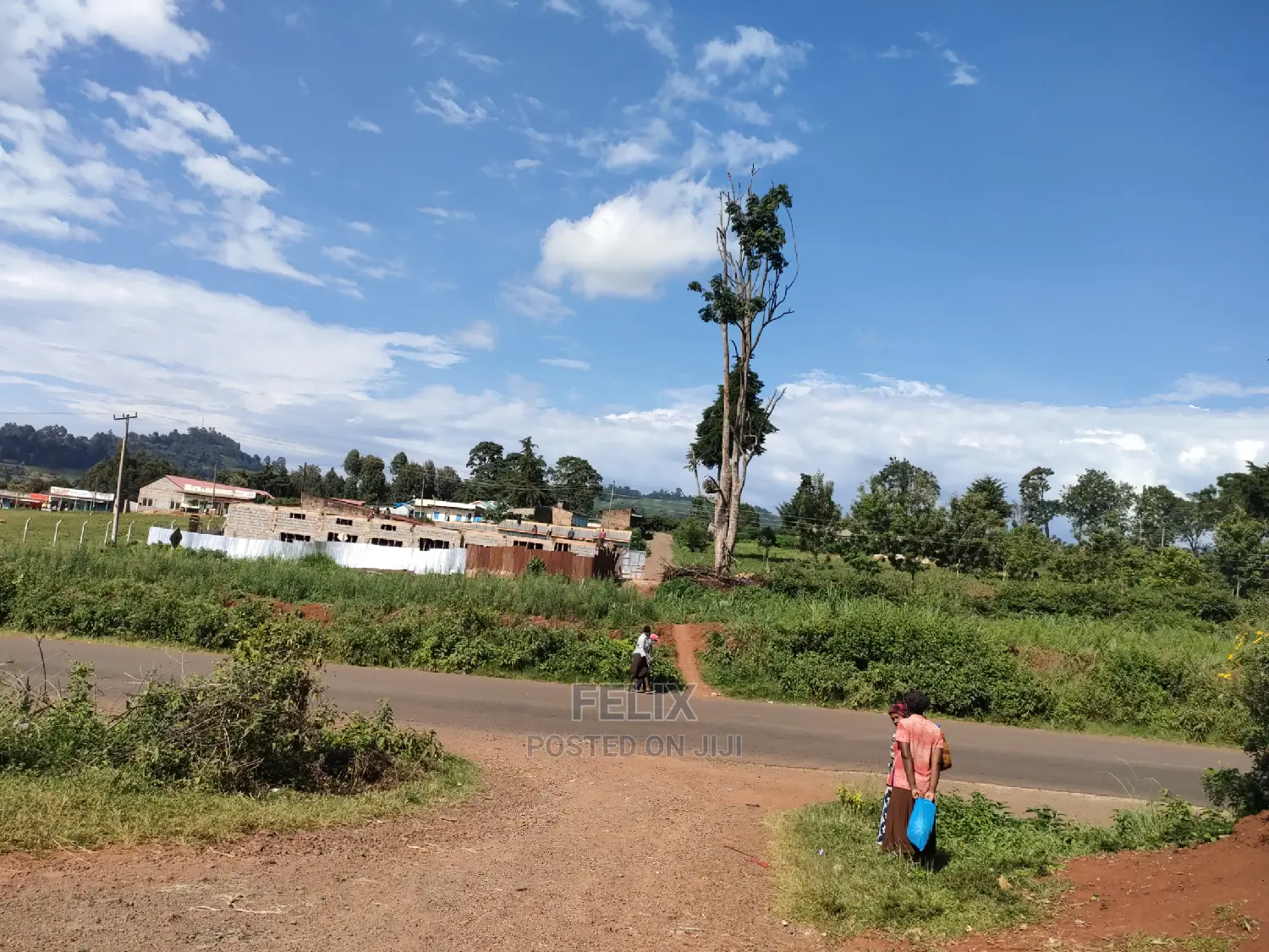 Karatina Ichuga/Kiawarigi Half Acre in Karatina Town