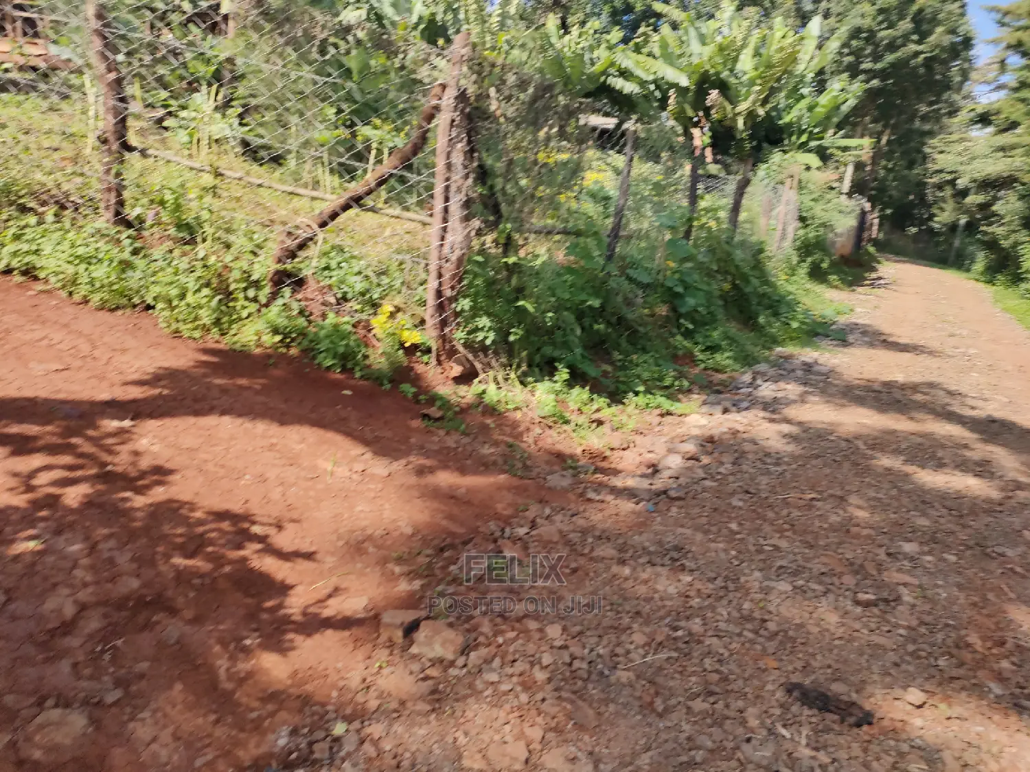 Karatina Ichuga/Kiawarigi Half Acre in Karatina Town