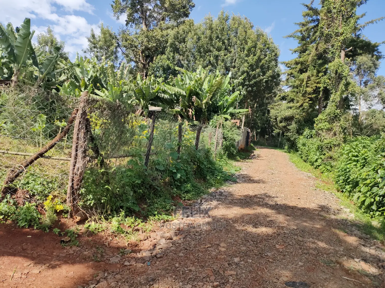 Karatina Ichuga/Kiawarigi Half Acre in Karatina Town