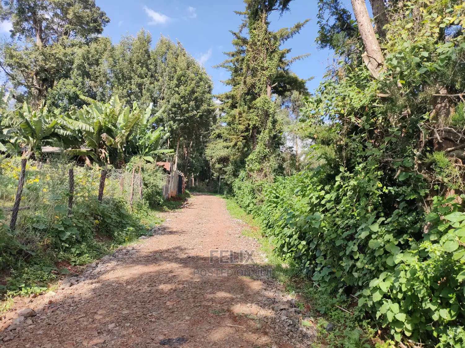 Karatina Ichuga/Kiawarigi Half Acre in Karatina Town