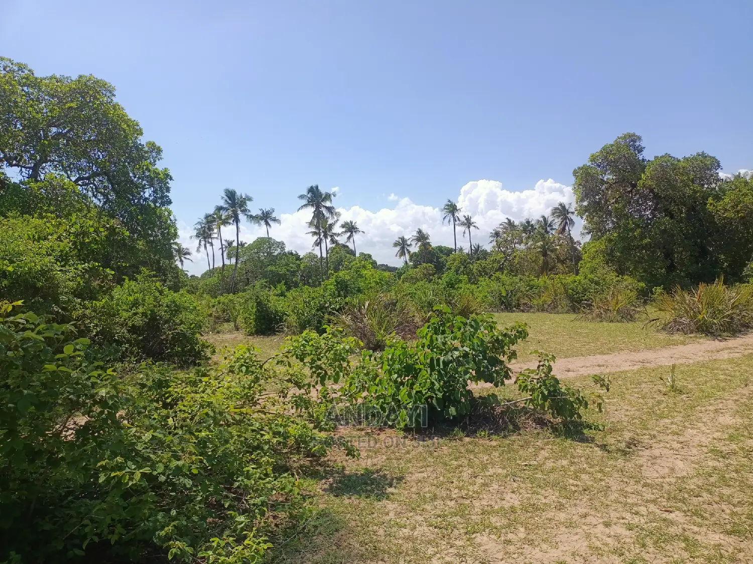 Prime Land for Sale in Kwale-Ng'ombeni in Shika Adabu
