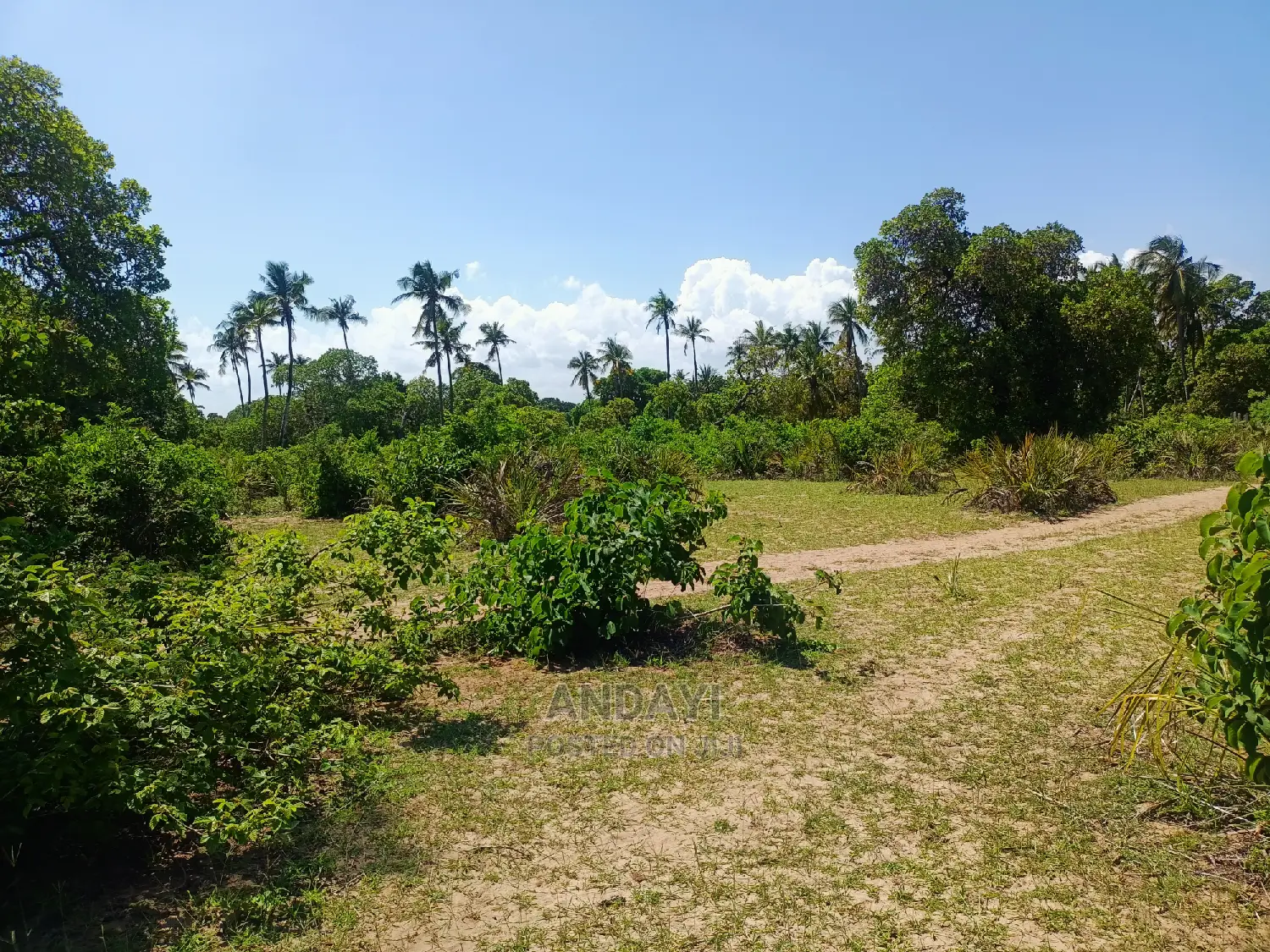 Prime Land for Sale in Kwale-Ng'ombeni in Shika Adabu