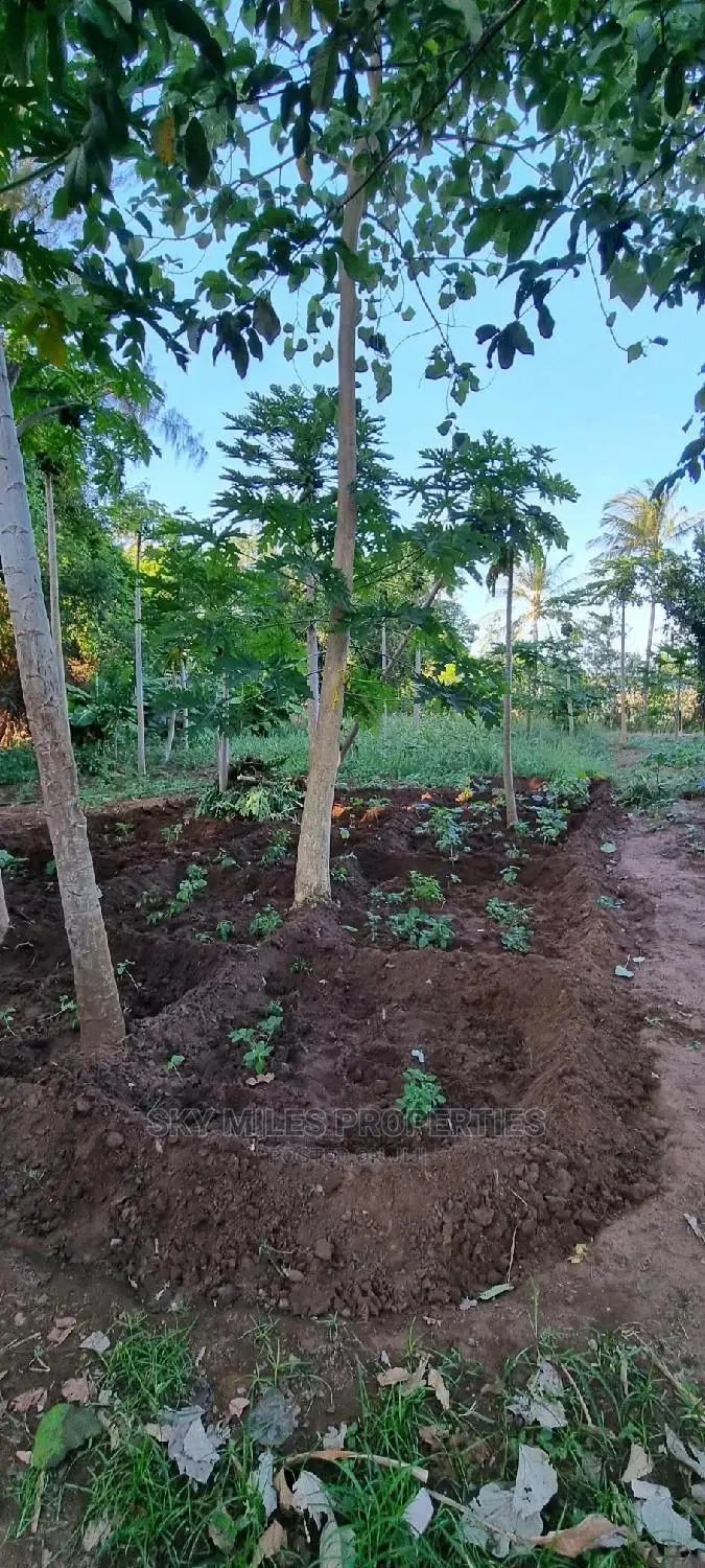 Affordable Majengo/Kanamai Plots for Sale - Invest Today! in Mtwapa