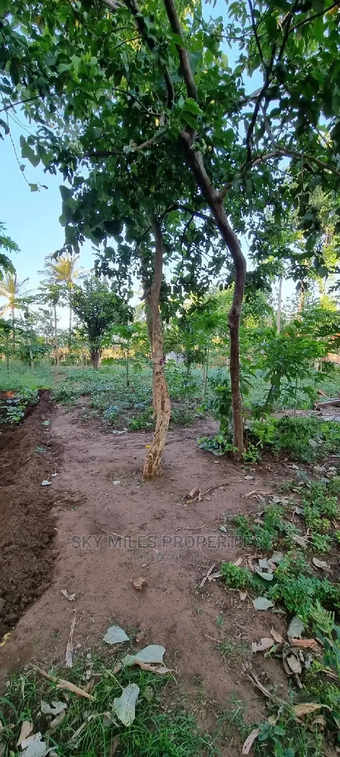 Affordable Majengo/Kanamai Plots for Sale - Invest Today! in Mtwapa