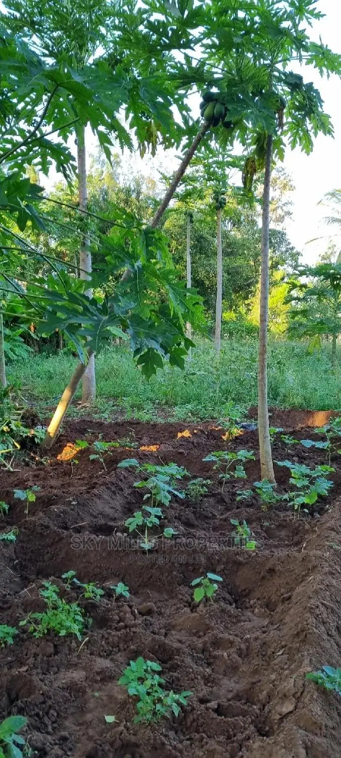 Affordable Majengo/Kanamai Plots for Sale - Invest Today! in Mtwapa