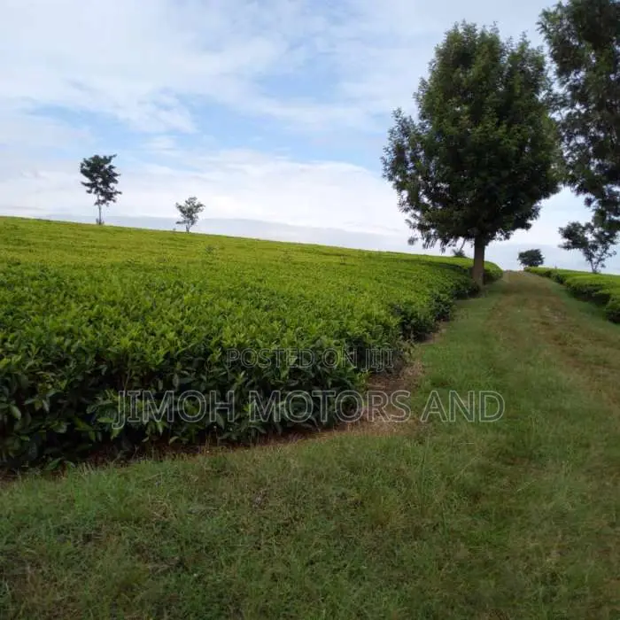 Land in Tigoni for Sale: Discover Your Ideal Plot Today! in Parklands/Highridge