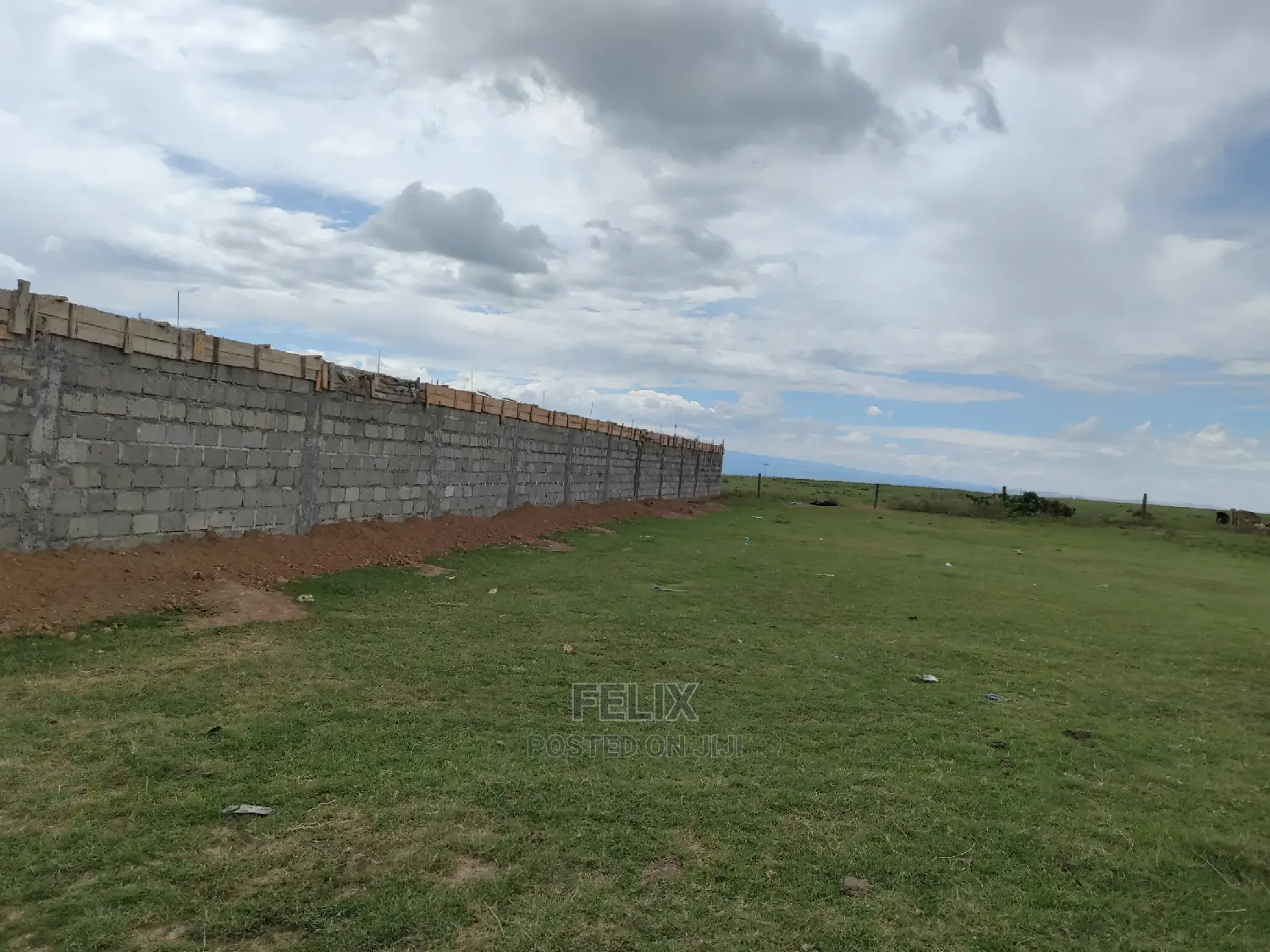 Narumoru Quarter Plot in Kieni