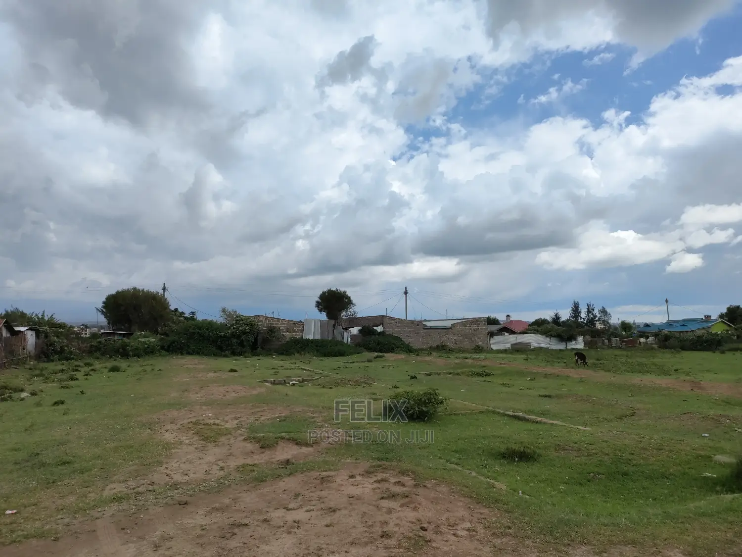 Narumoru Quarter Plot in Kieni