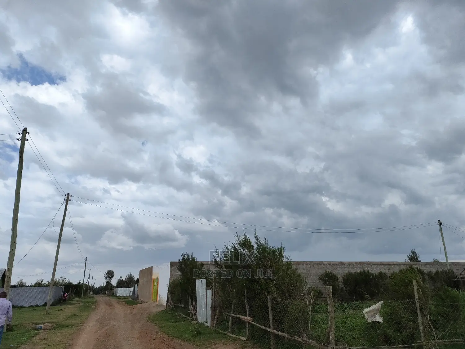 Narumoru Quarter Plot in Kieni
