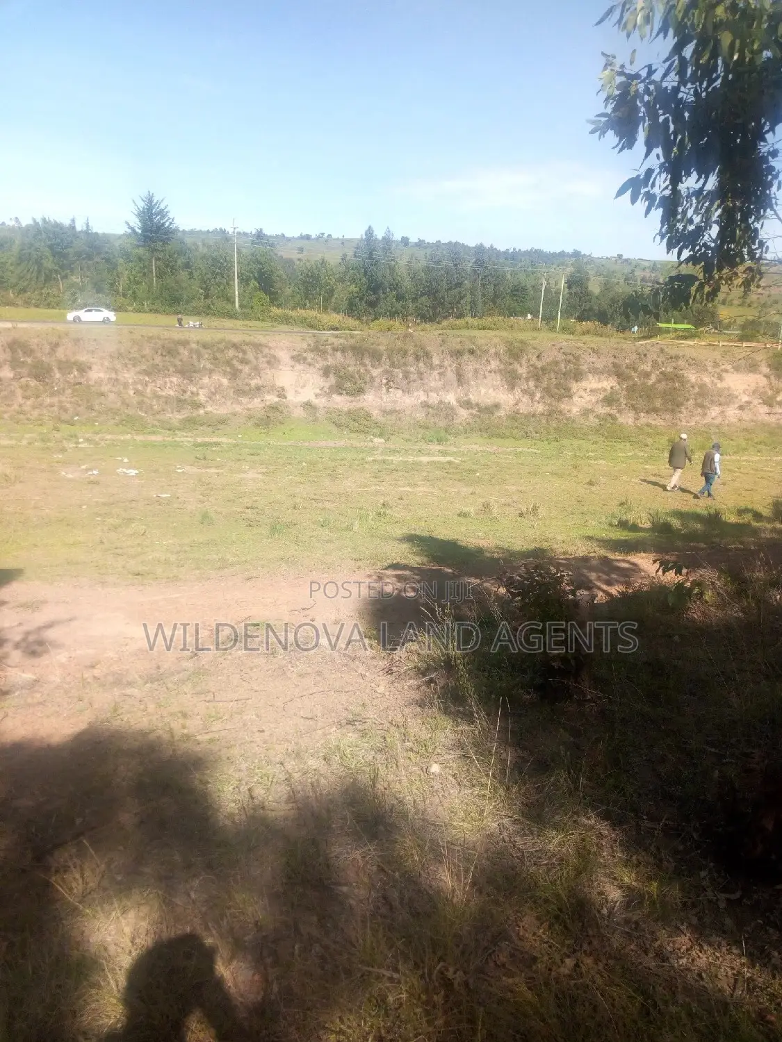 Great Opportunity: Land Sale on Naivasha's Kinungi Road, Close to Nairobi & Nakuru in Naivasha East