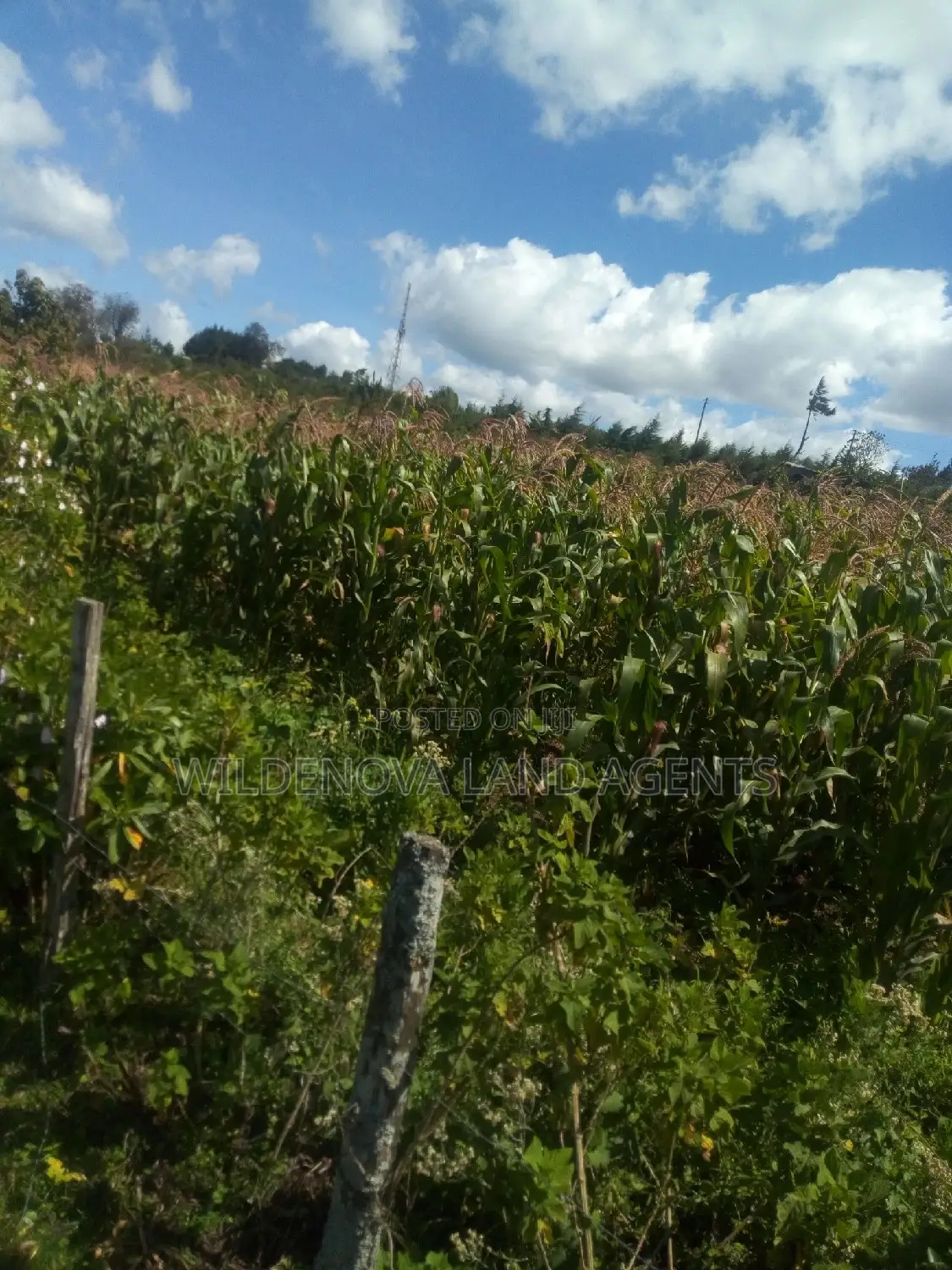 2-Acre Property in Flyover Kinangop - Perfect for Your Dream Home! in Magumu