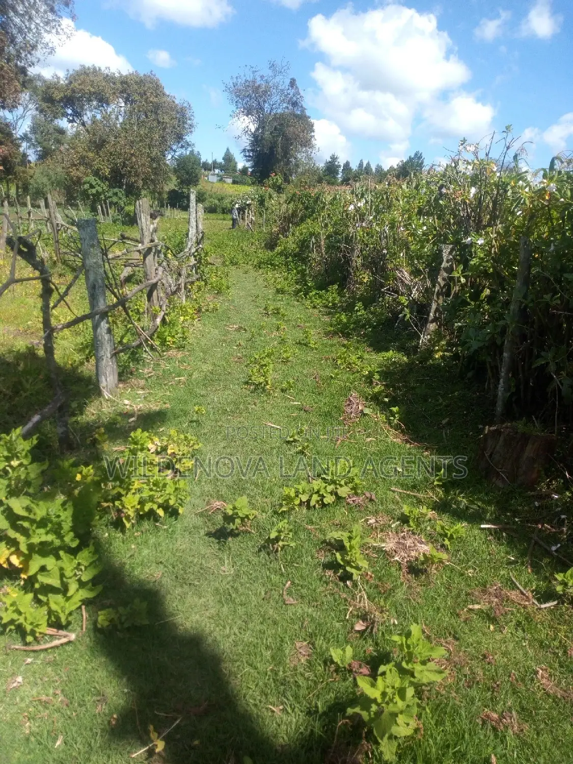 2-Acre Property in Flyover Kinangop - Perfect for Your Dream Home! in Magumu