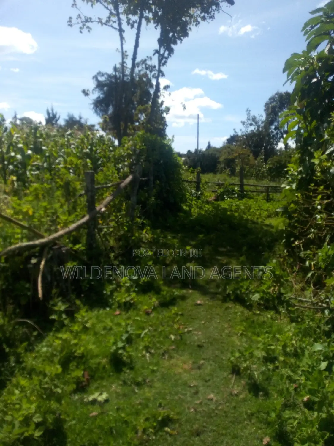 2-Acre Property in Flyover Kinangop - Perfect for Your Dream Home! in Magumu