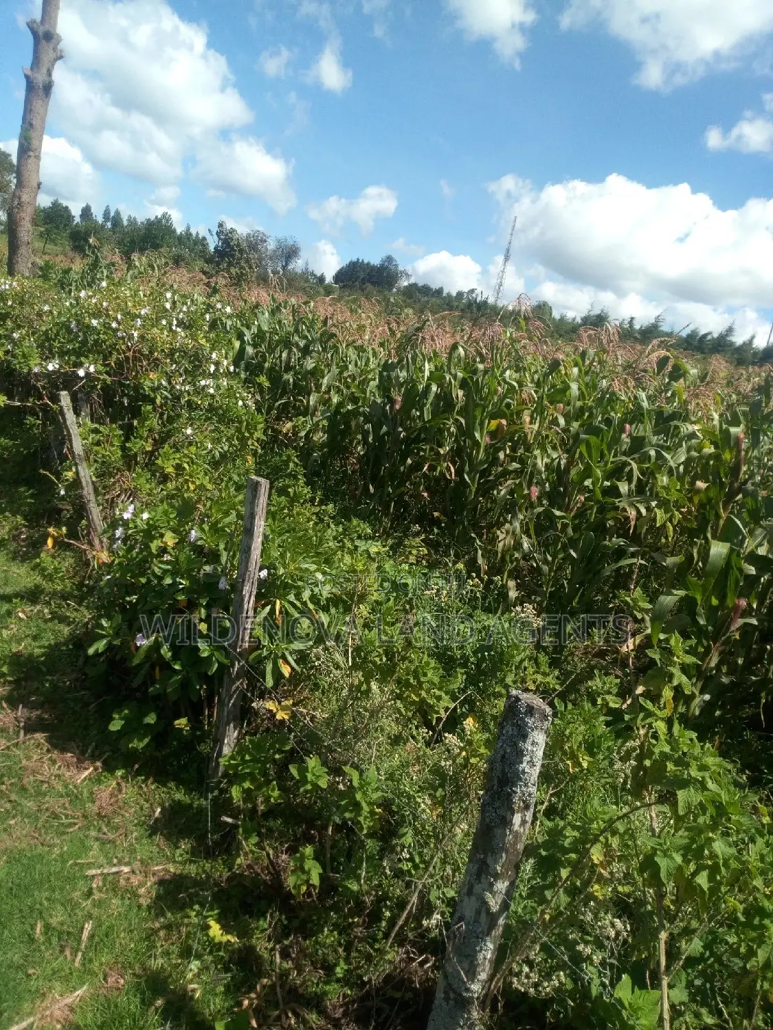 2-Acre Property in Flyover Kinangop - Perfect for Your Dream Home! in Magumu