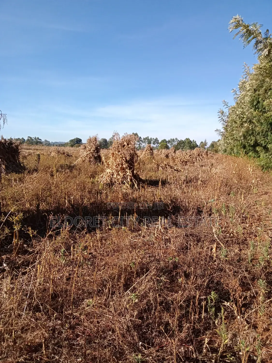 Marura Dream Acre: Ideal for Home Building in Moiben