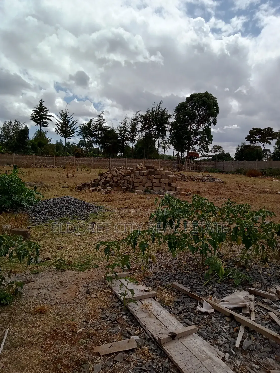 Elgonview 1/2 Acre Plot For Sale: Perfect Investment Opportunity in Moiben
