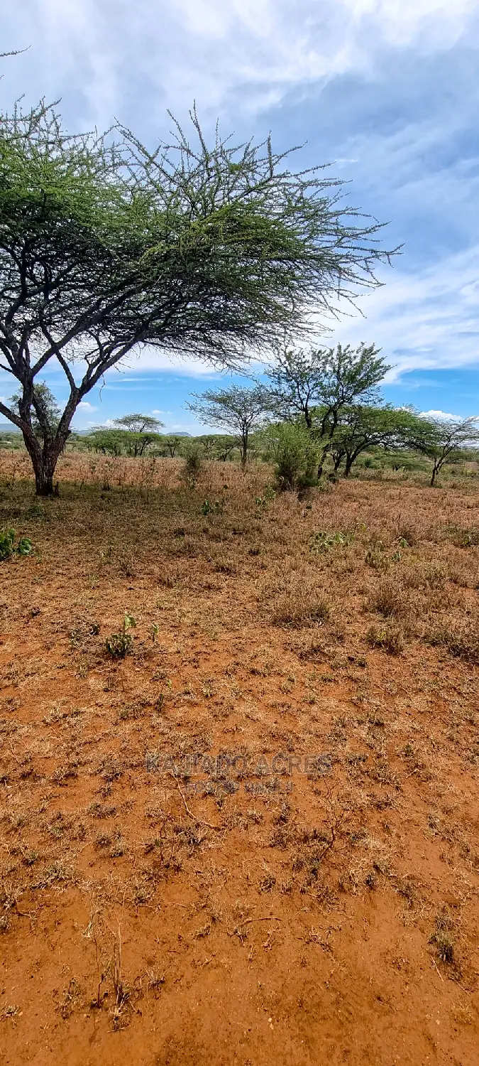 5-Acre Sajiloni Land for Sale at $1.2 Million Each Acre in Isinya