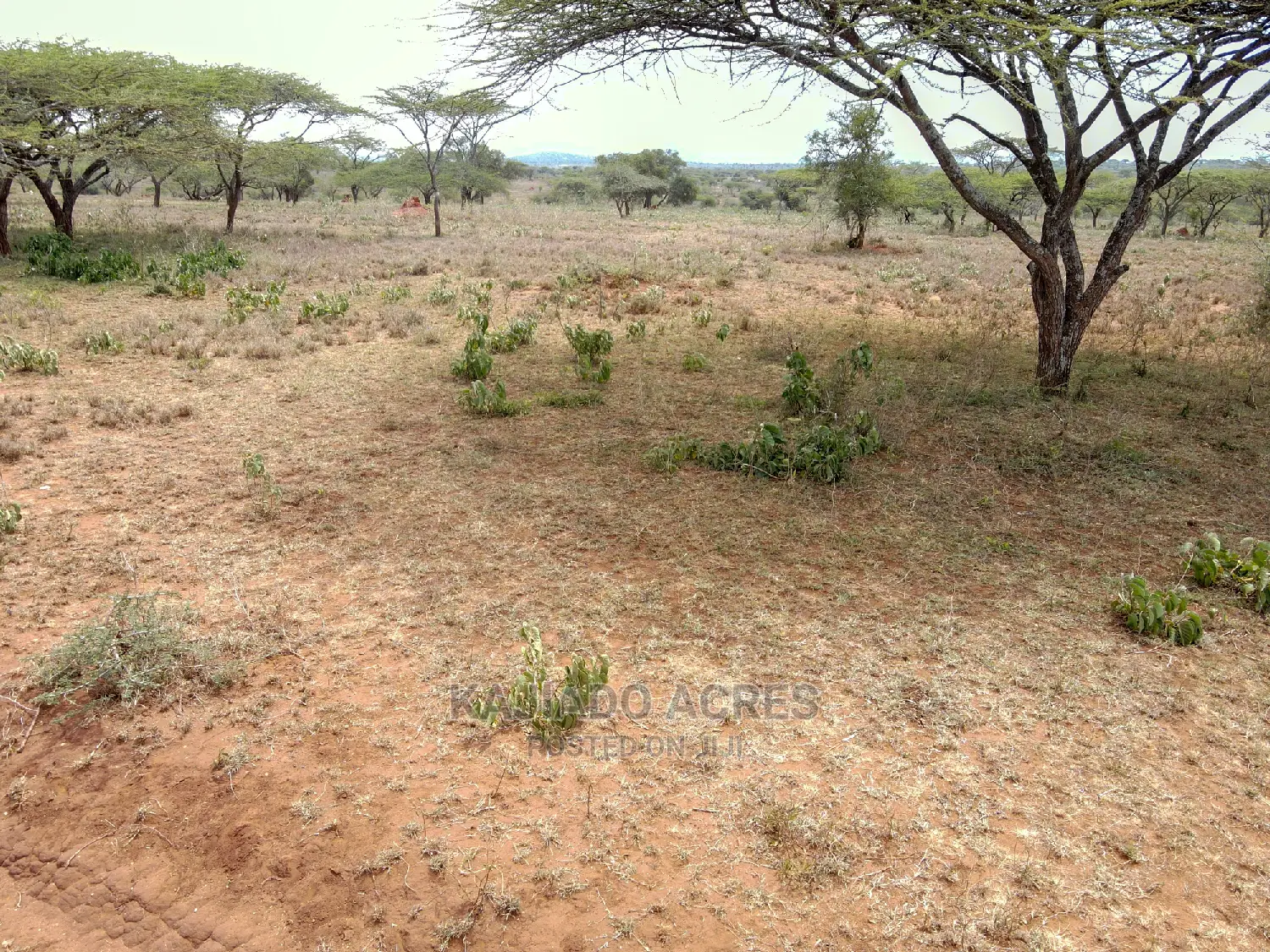 5-Acre Sajiloni Land for Sale at $1.2 Million Each Acre in Isinya